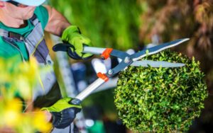 Entretien des Espaces Verts et Jardinage au Maroc