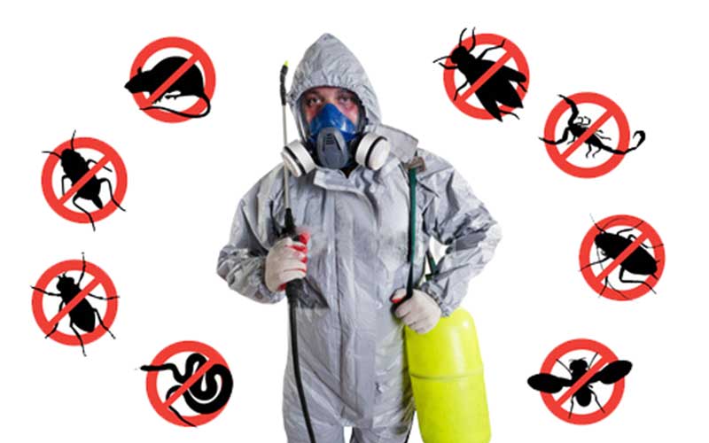 Services d'Hygiène et Parasites (3D) au Maroc